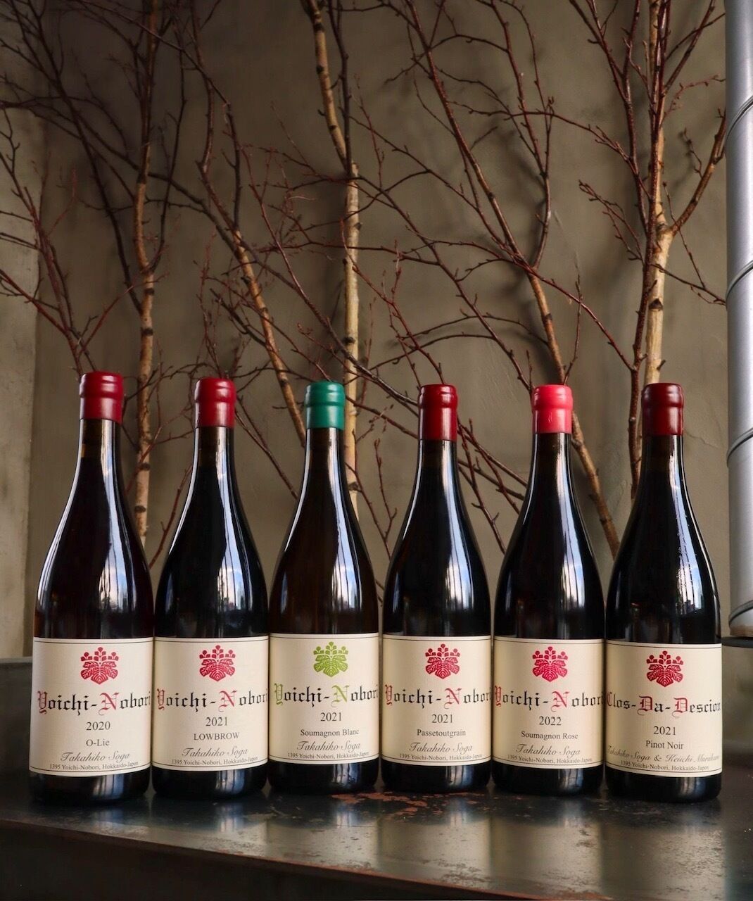 Six wine bottles with labels, arranged on a shelf against a wall with bare branches.