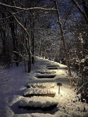 A snow-covered pathway in a forest with bare trees and a signpost. - Amazing cabin with private lake accesses (McHenry)