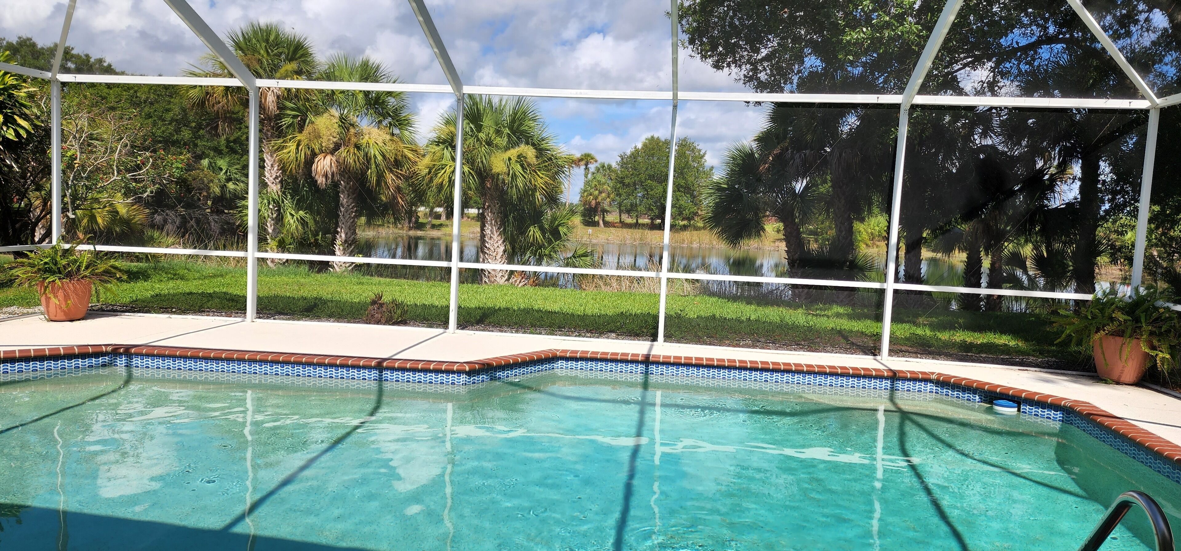 Piscina interna con vista su un lago e palme, circondata da una recinzione bianca.