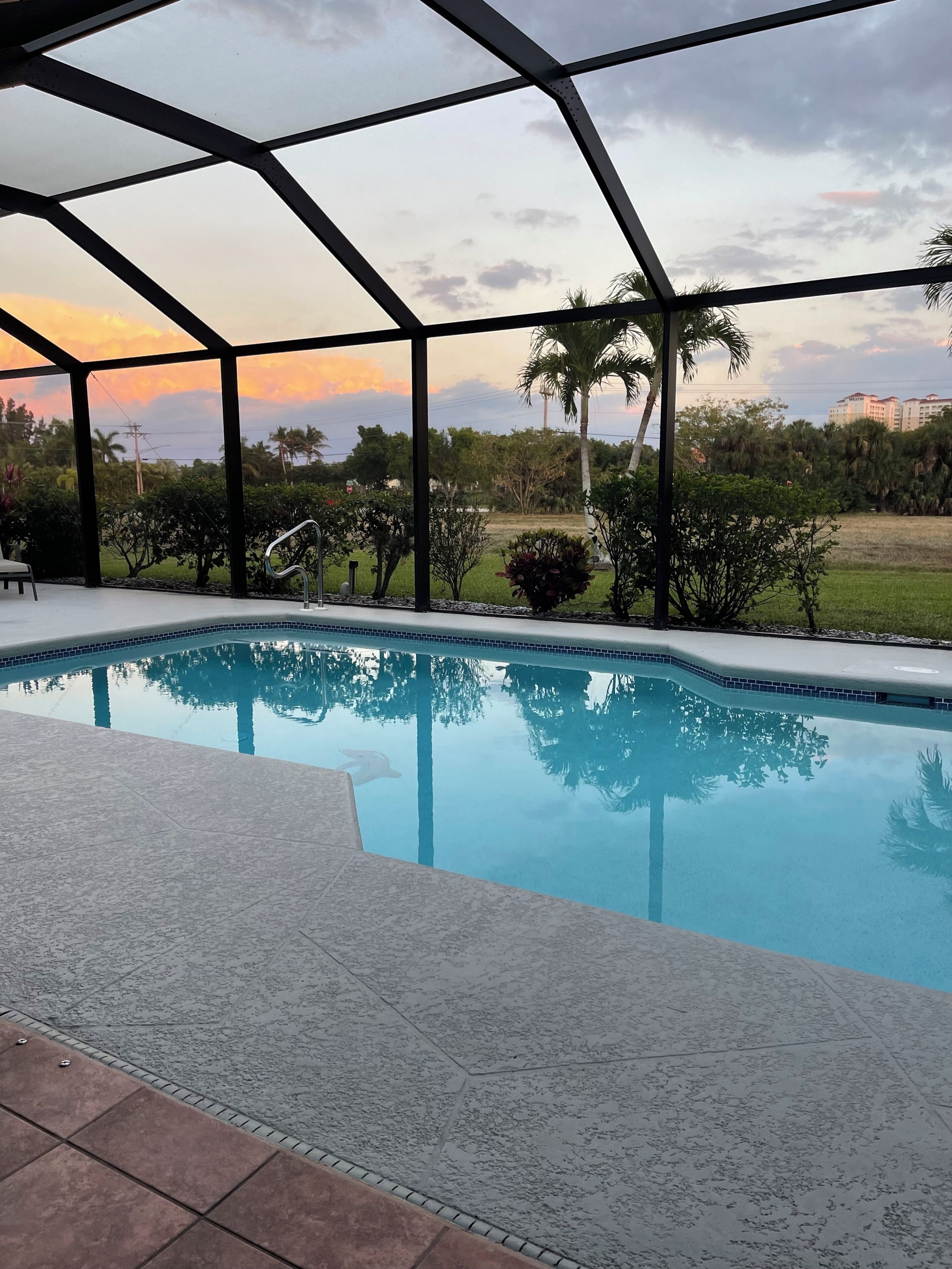 A swimming pool with a glass enclosure, surrounded by greenery and palm trees, with a view of distant buildings.