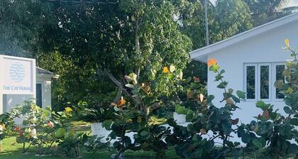 The Cay House