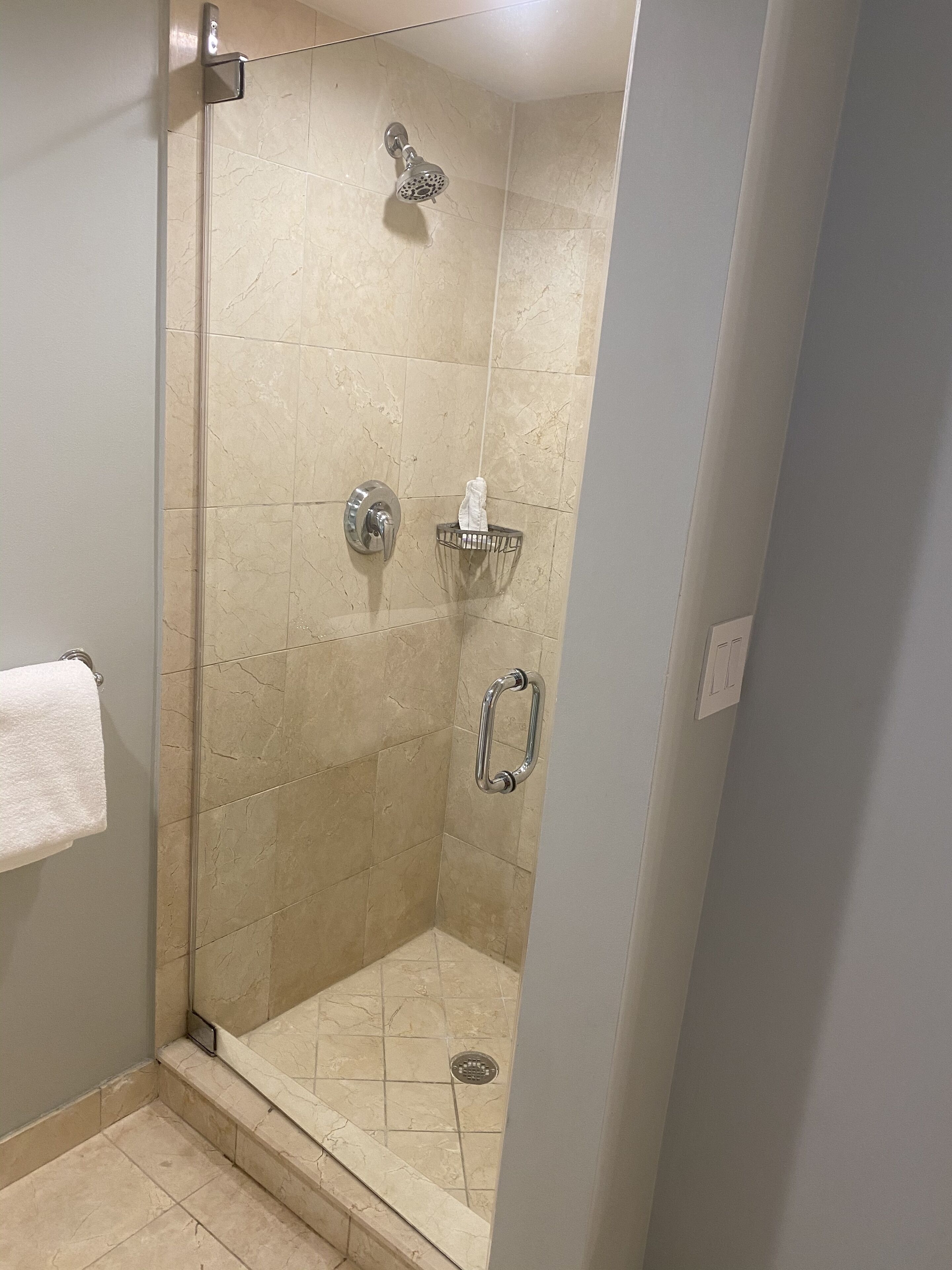 A glass-enclosed shower with a handheld showerhead, a towel rack, and a grab bar.