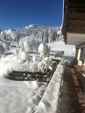 Paesaggio innevato con un edificio in legno e un albero coperto di neve in primo piano.