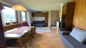 Televisio, DVD-soitin