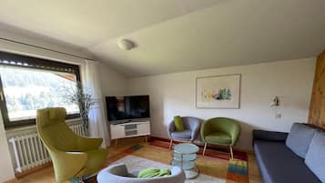 Fernseher, Stereoanlage