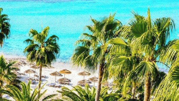 Apartment (1 Bedroom) | Beach/ocean view - Narcissos 'Nissi Beach' apartment C16 (Ayia Napa)