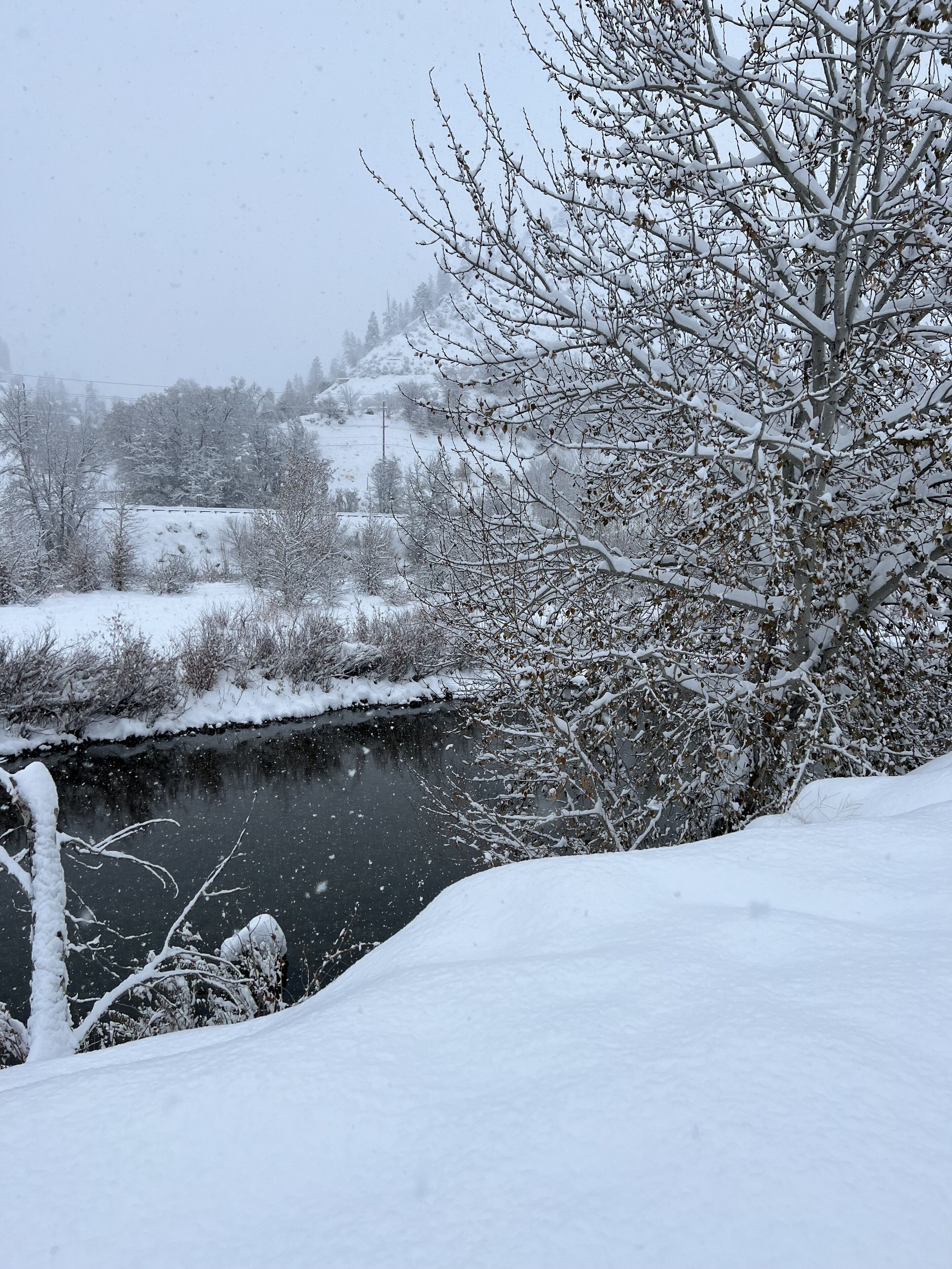 A snow-covered landscape with a river, trees, and a hill in the background.