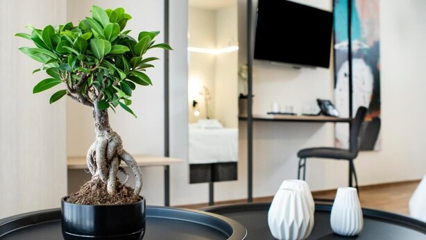 Ein Bonsai-Baum im Topf auf einer Ablage in einem modernen Hotelzimmer, das ein Bett, einen Flachbildfernseher und ein Wandbild beherbergt.