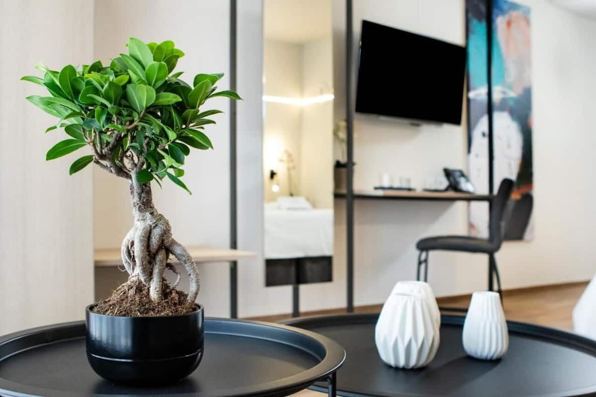 1 Schlafzimmer, Minibar, Zimmersafe, laptopgeeigneter Arbeitsplatz