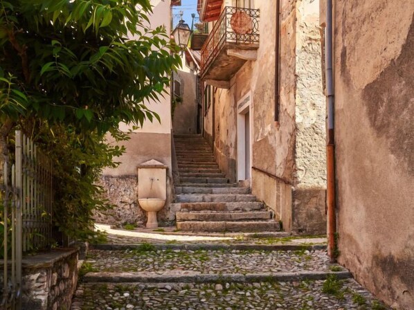 Stroll through a charming, tree-lined alleyway surrounded by historic buildings and a tranquil fountain.
