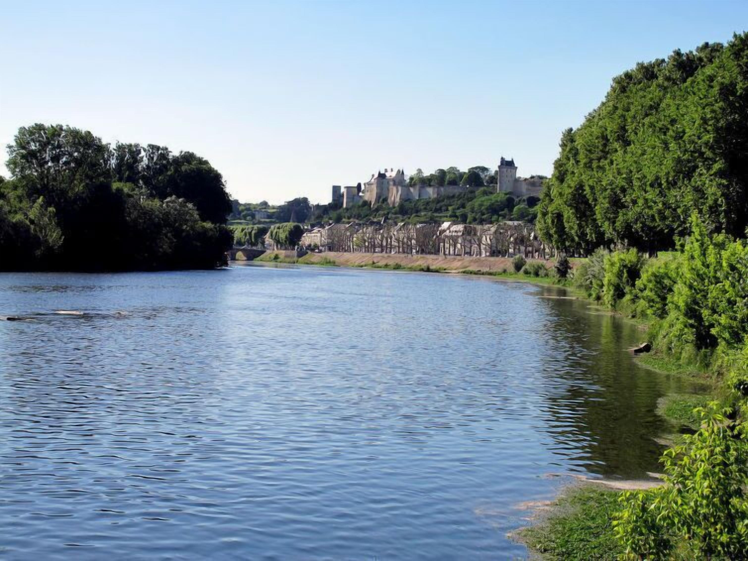 Un río con un castillo al fondo.