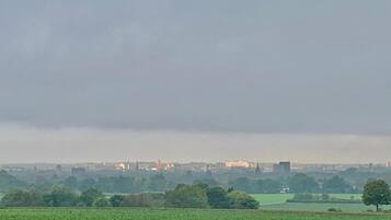 Ländliche Landschaft mit Feldern, Bäumen und einer entfernten Skyline einer Stadt unter bewölktem Himmel.