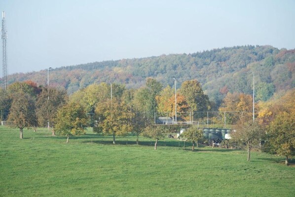A rural landscape with a green field, trees with autumn foliage, and a hill in the background. - Spacious apartment near wellness (Maastricht)