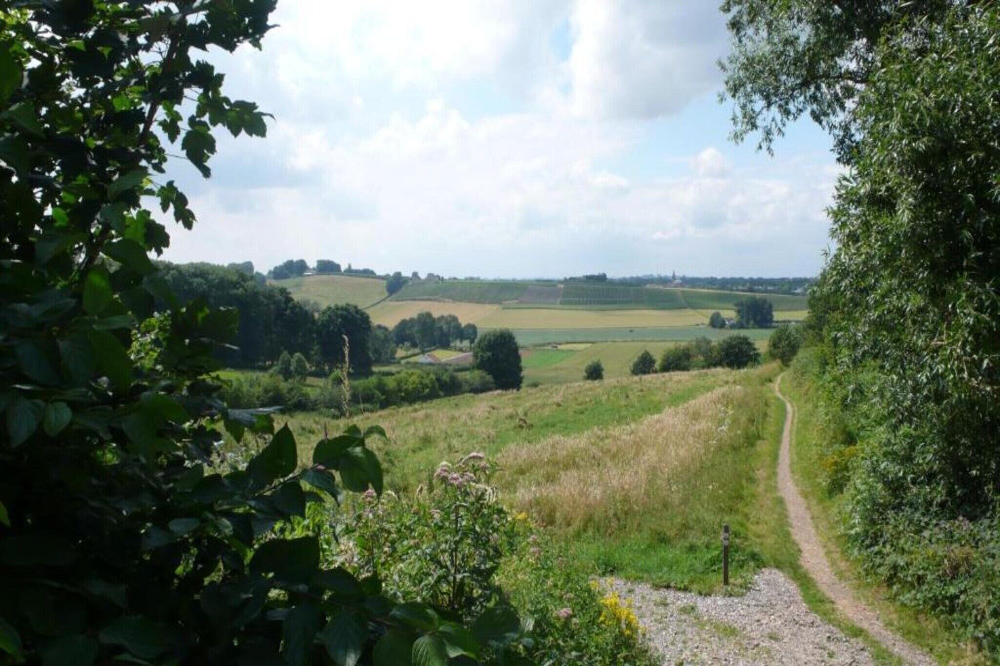A rural landscape with a dirt path leading through fields and trees.