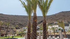Zona ajardinada con palmeras y sillas de descanso, con un paisaje montañoso de fondo.