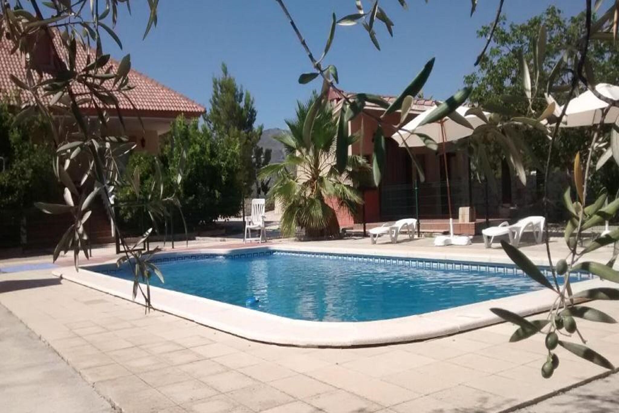En swimmingpool omgivet af liggestole og palmer, med en bygning i baggrunden.