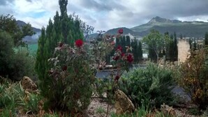 A garden with various plants and flowers, a pathway, and a mountainous background.