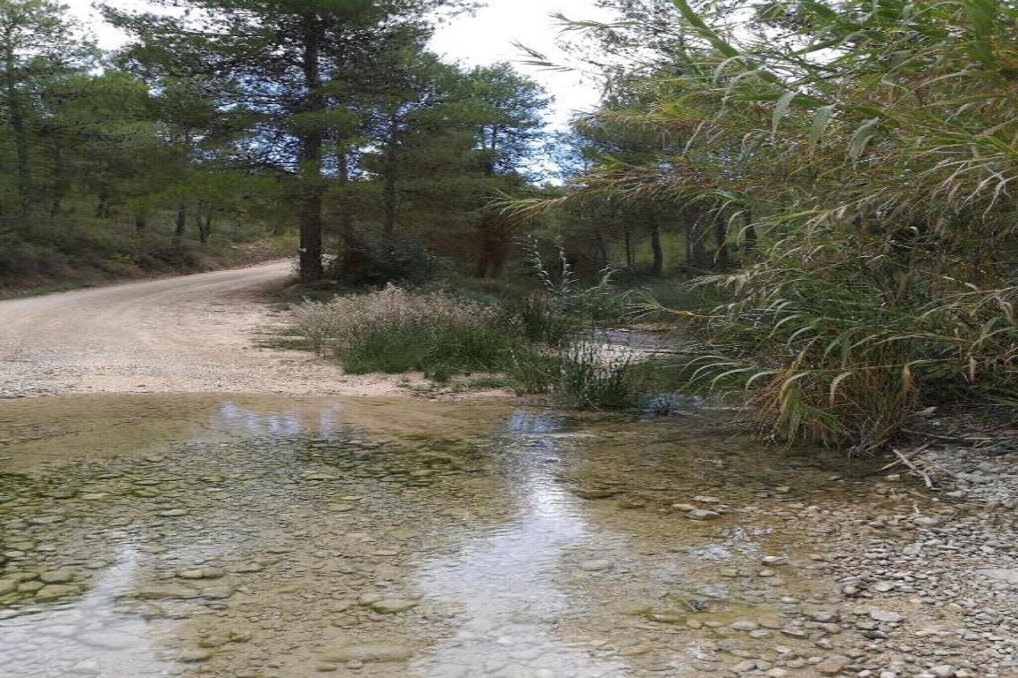 A gravel road with a shallow stream crossing it, surrounded by dense vegetation and trees.