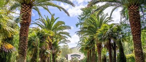 Enceinte de l’hébergement