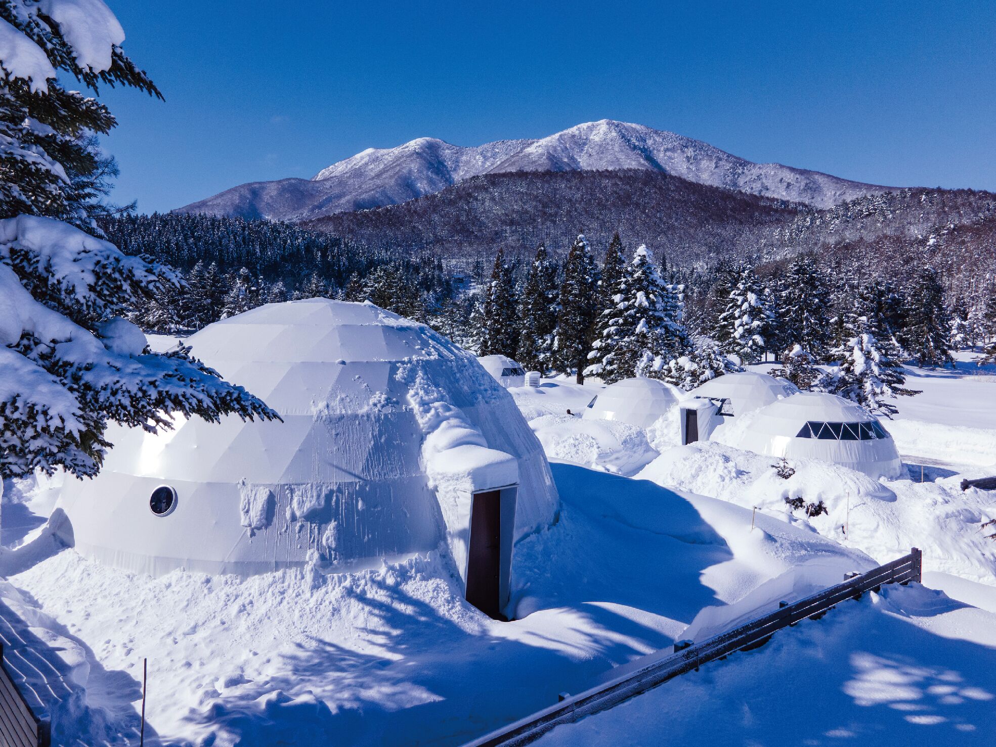 Igloos en un paisatge nevós amb una muntanya al fons.