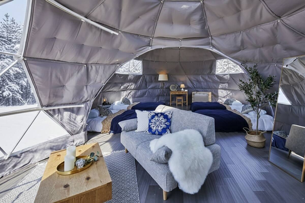 Ein gemütliches Zelt mit einer Couch, Kissen, einem kleinen Tisch und einem Blumentopf.