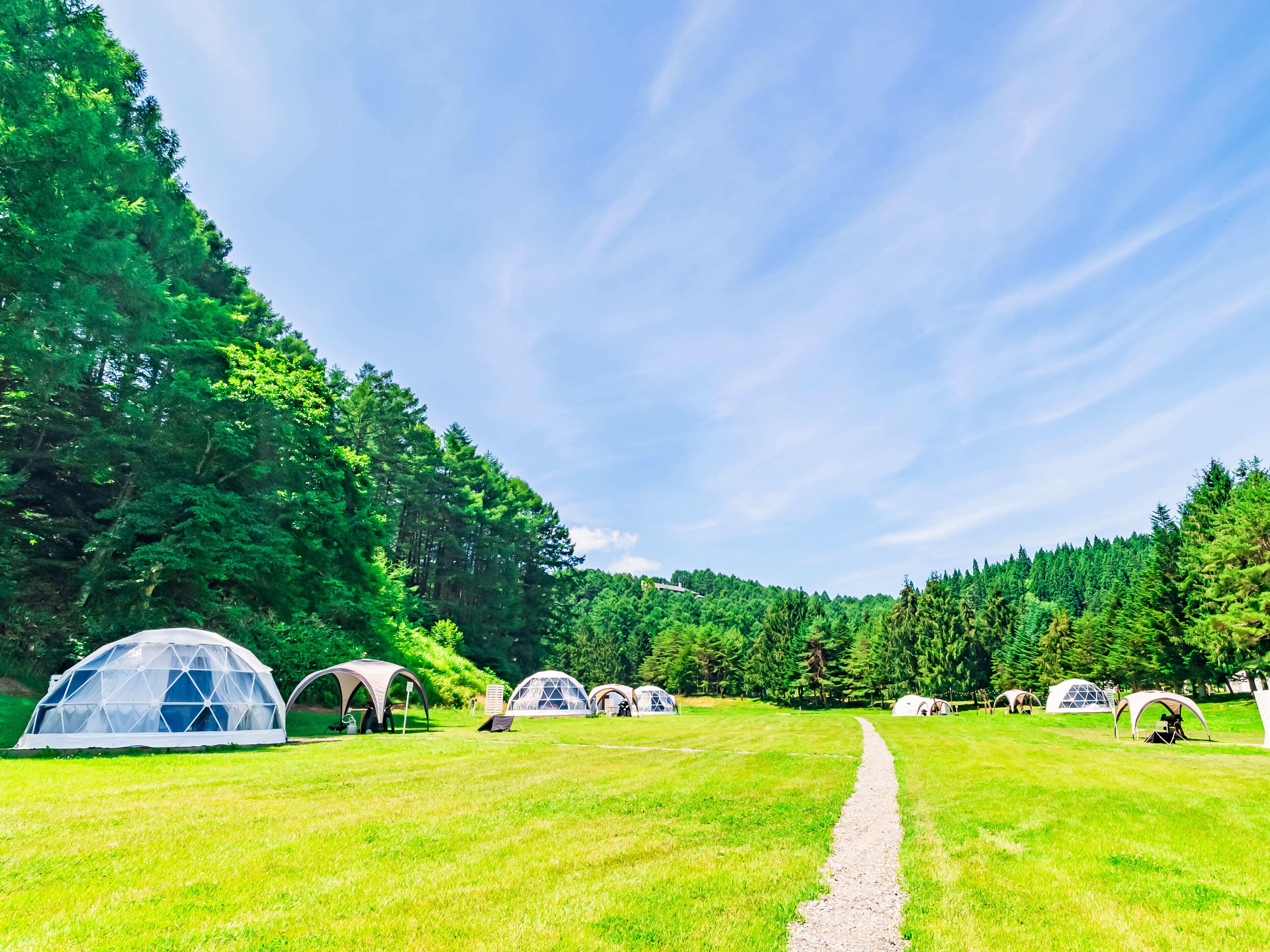 A series of geodesic dome tents arranged in a row on a grassy field with a clear sky above.