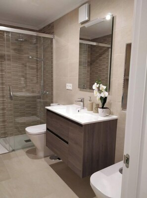 Shower, hair dryer, bidet, towels