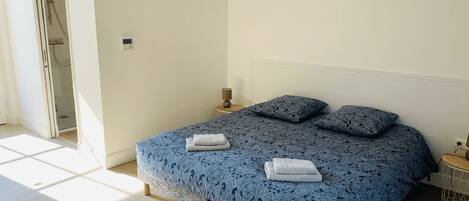 A bedroom with a bed, two pillows, a bedside table with a lamp, and a shower area.