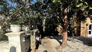 A pathway lined with trees and a stone wall, leading to a building with a door. - Homely 1 Bedroom Retreat in South Yarra With Balcony (South Yarra)