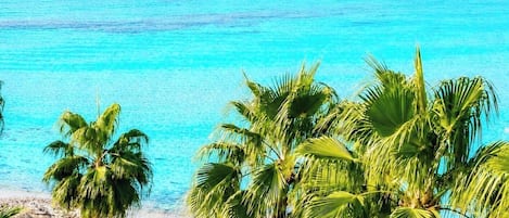 Serviettes de plage