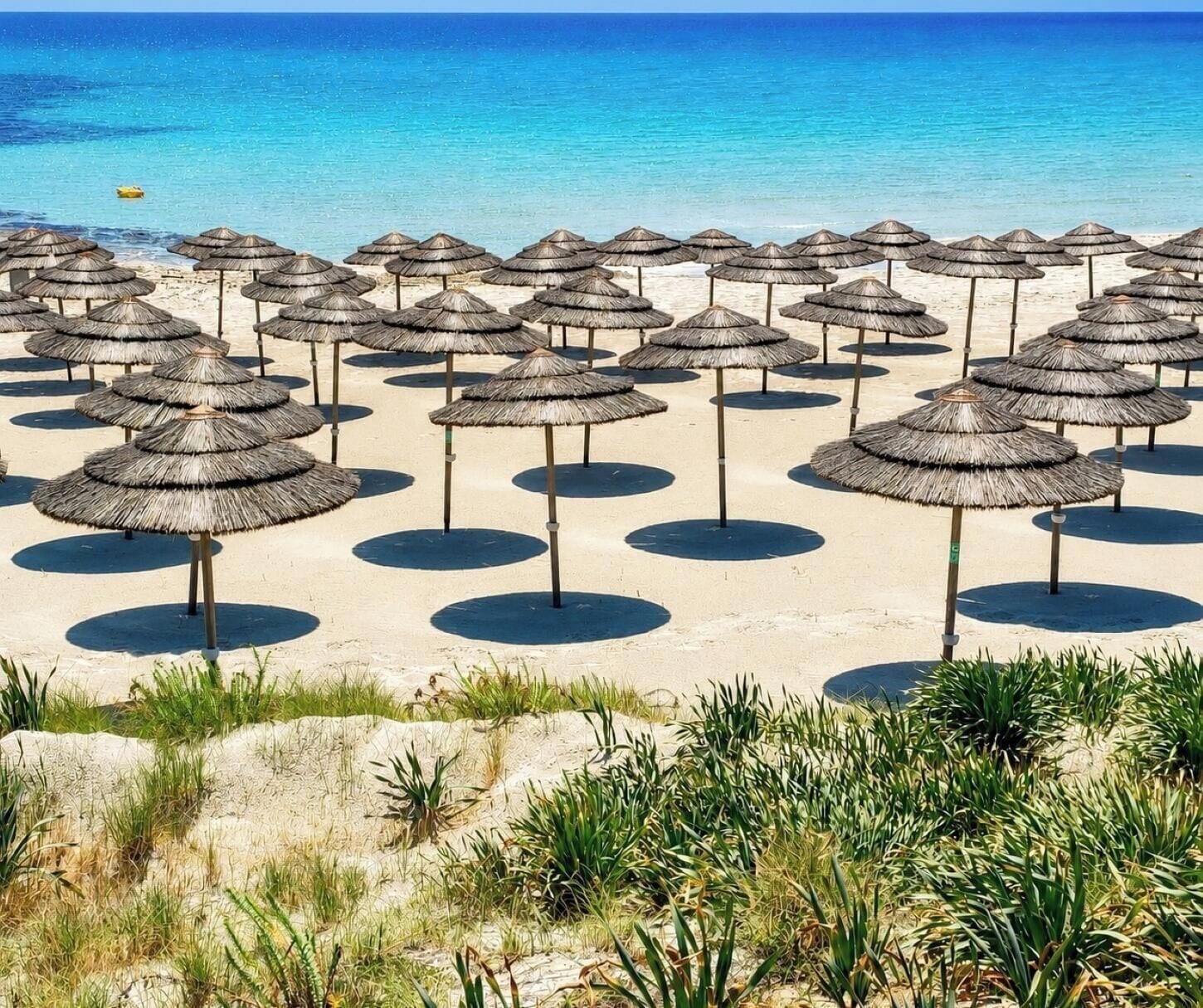 En strand med flera parasoller av halm, placerade i rader.