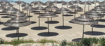 Narcissos 'Nissi Beach' apartment A8