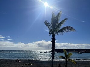 A beach with a palm tree, clear sky, and boats in the water. - PUESTA DE SOL RENTALS 3AJ (PLAYA SAN JUAN)