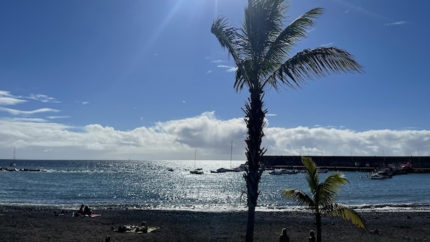 Une plage avec un palmier, un ciel dégagé et des bateaux sur l’eau.