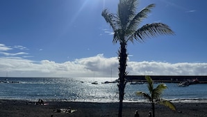 Una spiaggia con una palma, cielo sereno e barche nell'acqua.