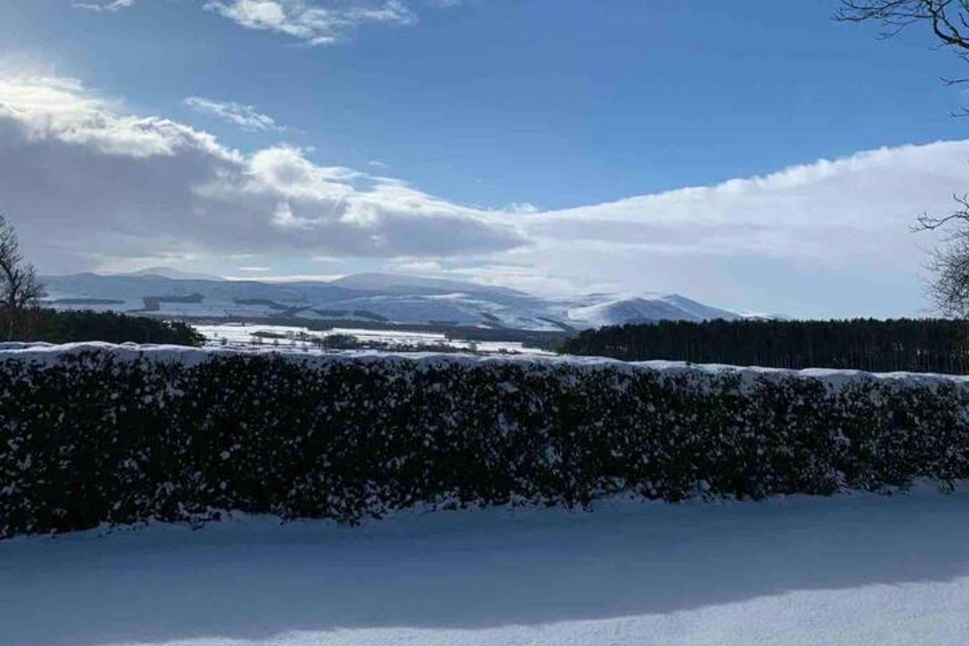 A snowy landscape with a hedge in the foreground and a distant view of mountains and a body of water under a clear sky.