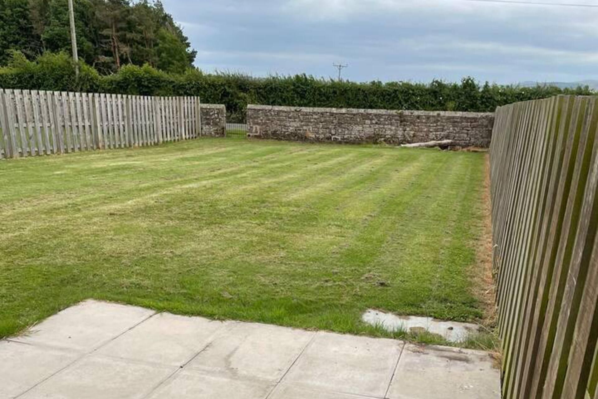 A grassy backyard with a stone wall and a wooden fence.
