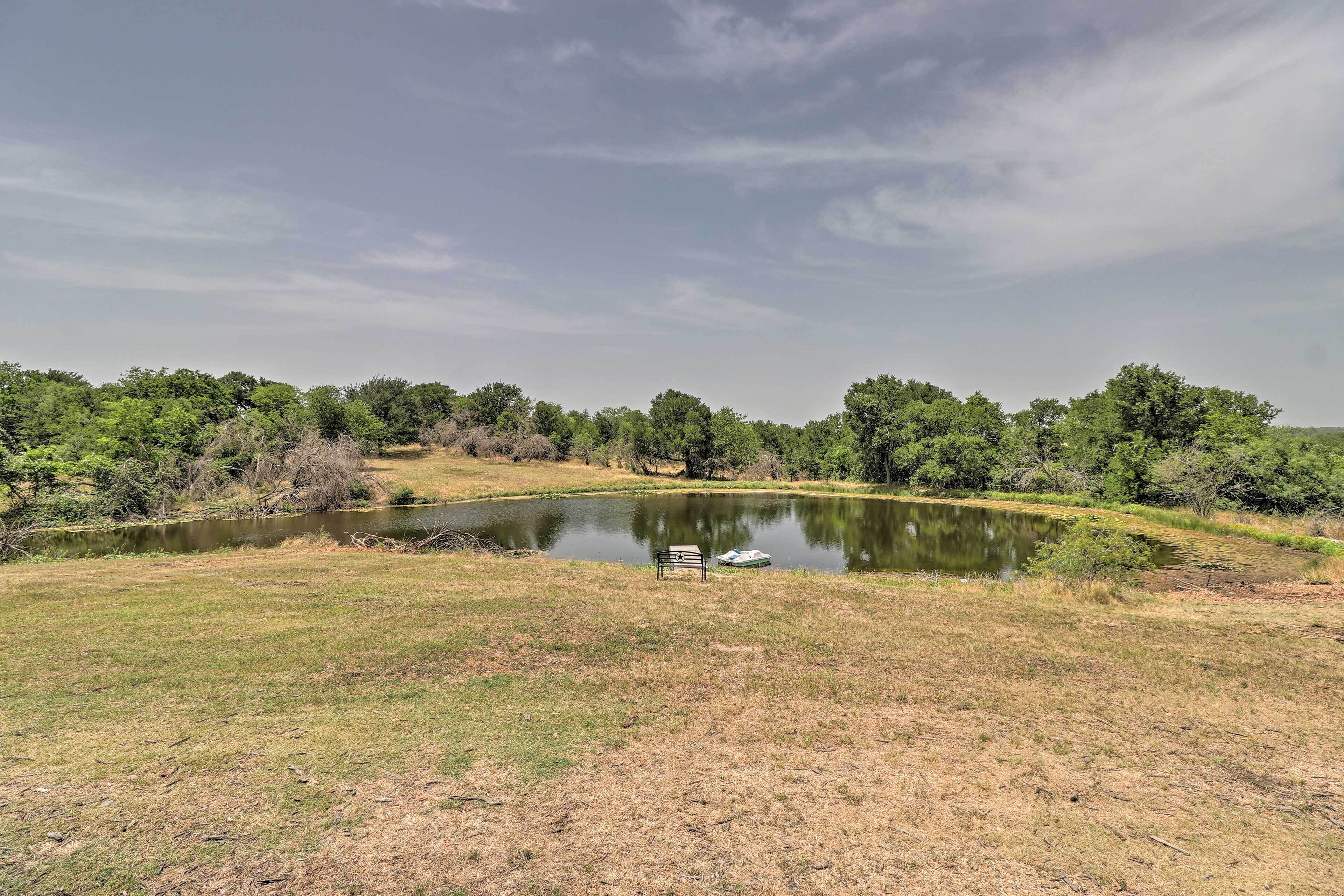 A serene landscape with a pond, grassy area, and trees.