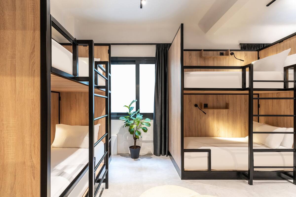 A modern hotel room with bunk beds, a potted plant, and a large window.