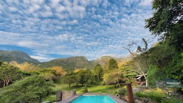 Outdoor pool, pool umbrellas, pool loungers