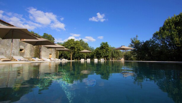 A pool with lounge chairs and umbrellas, surrounded by trees and a clear sky.