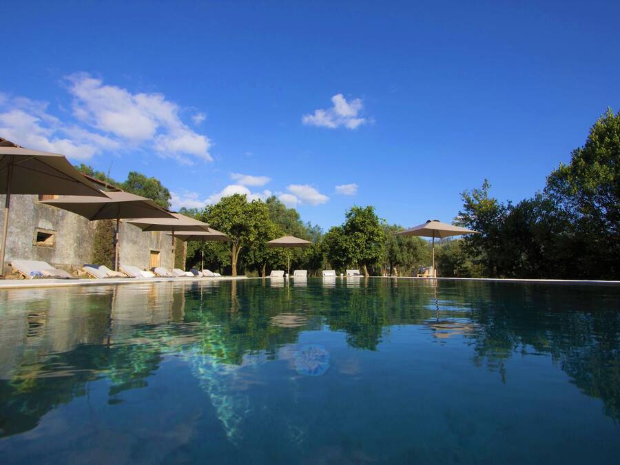 Outdoor pool, pool umbrellas, sun loungers