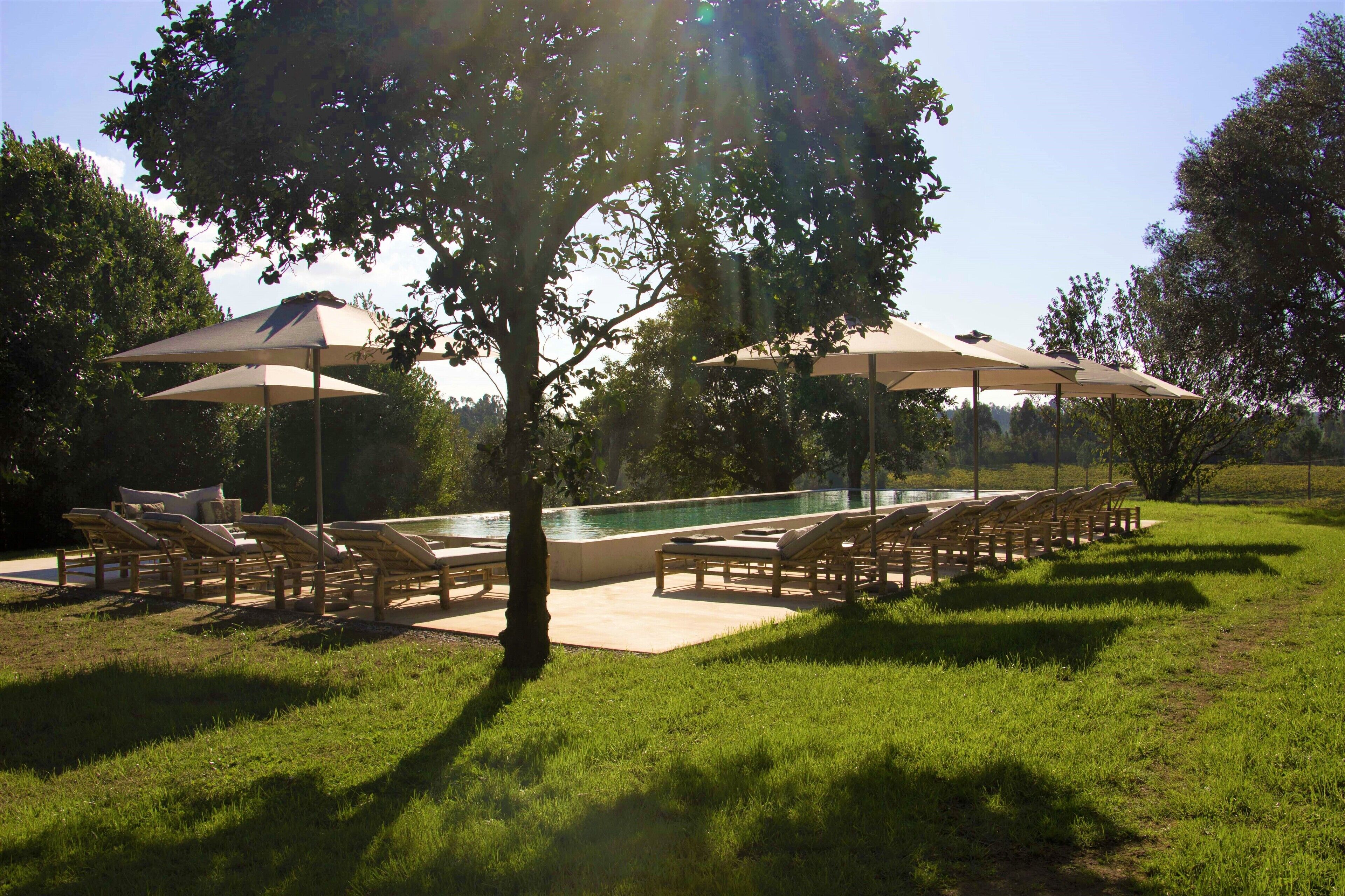 Un área junto a la piscina con sillones de descanso y sombrillas, rodeada de césped y árboles.