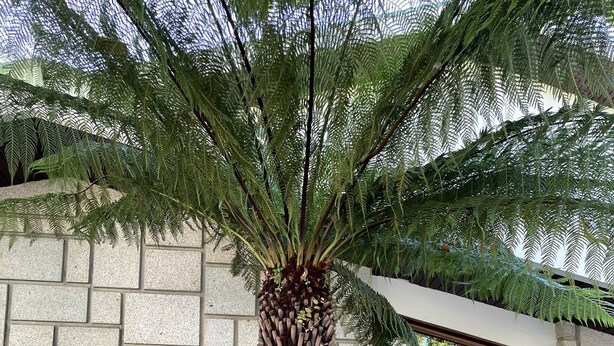 Een gebouw met een gevel van natuursteen en een groot raam.