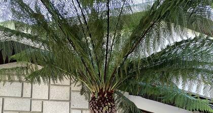 Santiago Family House Luxury Guest House