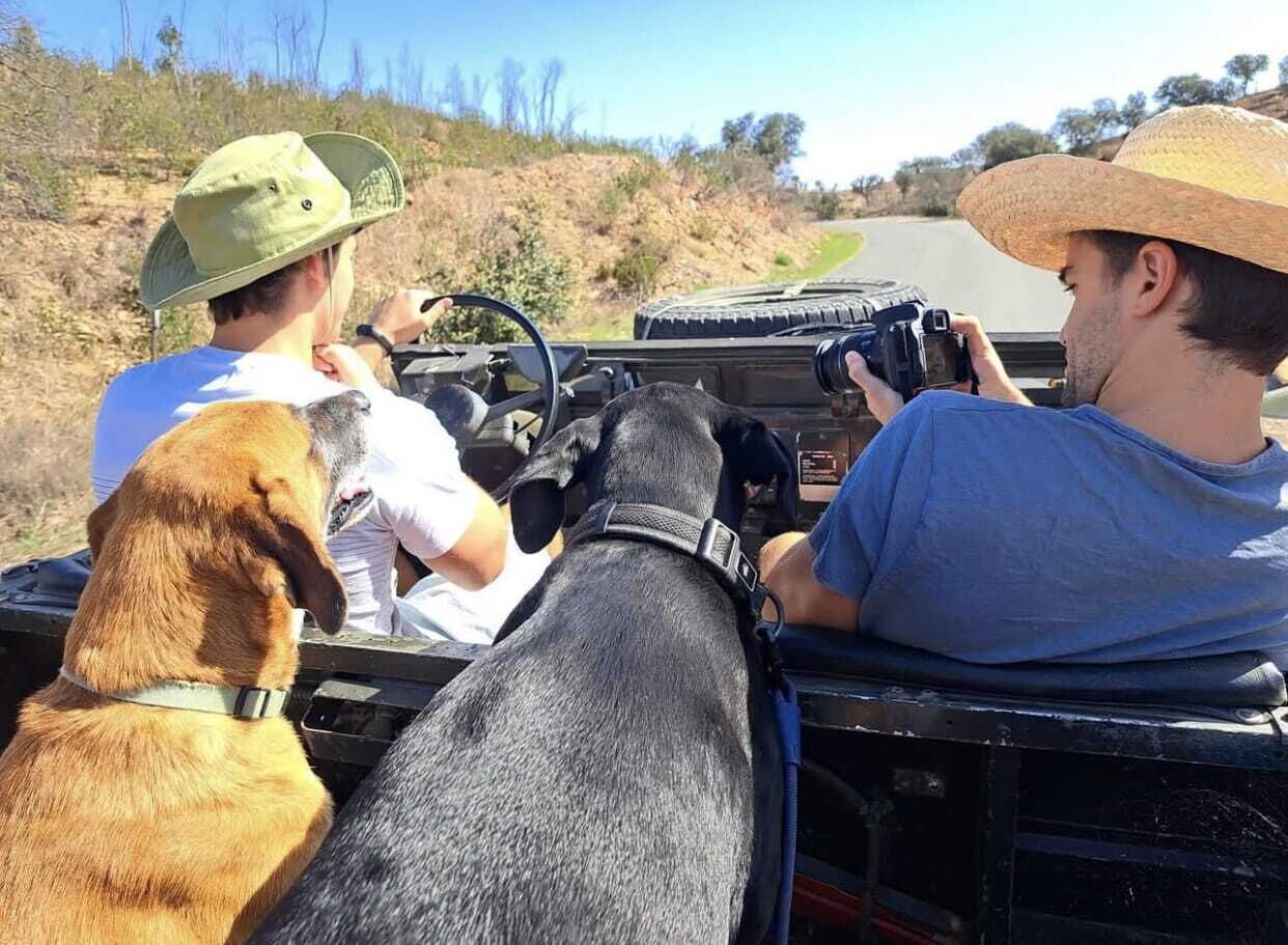 Um veículo com duas pessoas e dois cães, um preto e um marrom, com uma paisagem desértica ao fundo.