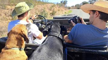 Um veículo com duas pessoas e dois cães, um preto e um marrom, com uma paisagem desértica ao fundo.