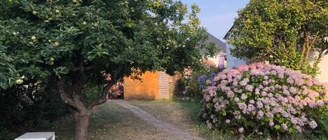 Terrein van de accommodatie