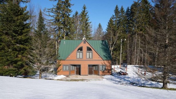 Een chalet met een groen dak, omgeven door sneeuw en hoge dennenbomen.