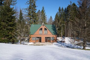 Ulkopuoli